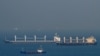 Explainer: Why the Black Sea Grain Deal Is Vital for Global Food Security