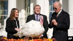 President Joe Biden pardons Chocolate, the national Thanksgiving turkey, at the White House in Washington, Nov. 21, 2022. 
