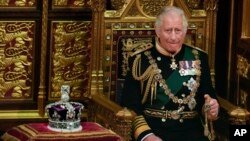 ARHIVA - Princ Čarls pored kraljičine krune na otvaranju parlamenta u Londonu 10. maja 2022. 