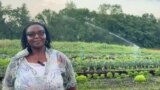 Murimi weChidzimai Ari muAmerica, Muzvare Marcey Guramatunhu, Vofadzwa neKushanyirwa neNyanzvi dzeKurima dzeChidzimai Dzakabva kuZimbabwe
