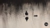 16x9 Image