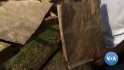 São Tomé e Príncipe: Sacos biodegradáveis para travar a poluição do oceano