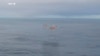 Axiom Space Mission Returns to Earth 