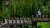 Study: Living Near Green Space Makes You 2.5 Years Younger