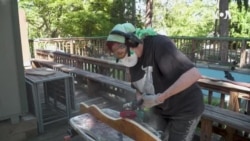 Wood Sculptor