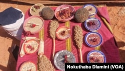 Hwange Agric Expo