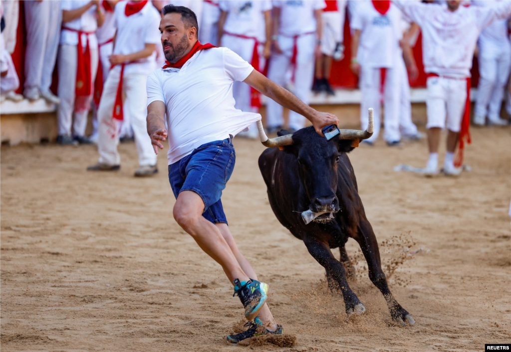 هیجان گاوبازی در خیابان‌های اسپانیا؛ جشنواره سن‌فرمین، ژوئیه ۲۰۲۴