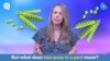 English in a Minute, “two peas in a pod” ແປວ່າ: “ຄືກັນຈົນແຍກບໍ່ອອກ/ເຂົ້າກັນໄດ້ດີຫຼາຍແທ້ໆ” 