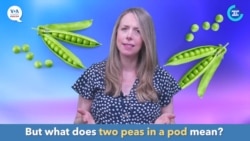 ຮຽນພາສາອັງກິດ ໃນນຶ່ງນາທີ: “two peas in a pod” ໝາຍເຖິງ “ຄືກັນຈົນແຍກບໍ່ອອກ/ເຂົ້າກັນໄດ້ດີຫຼາຍແທ້ໆ”