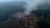 As Rainforests Worldwide Disappear, Summit to Protect Them Opens in Brazzaville