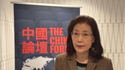 蔡霞：中共大方向不改，就沒有出路