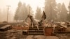 US Utility Could Be Liable for Billions After Jury Verdict in Devastating Oregon Wildfires 