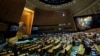 Are Governments Obligated to Protect Citizens From Climate Change? World Court to Weigh In 