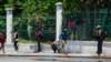 Haiti gangs loot national library, director says 