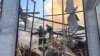 Putin Ally Warns EU Against Seizing Russian Assets for Ukraine’s Reconstruction