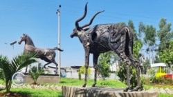 እራሱን ያስተማረው የብረታብረት ቀራጺ
