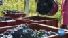 US Entrepreneur Tries to Save Ukrainian Wine