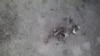 16x9 Image