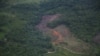 Colombia deforestation fell to 23-year low in 2023