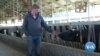 Despite War, Dutch Farmer Stays in Ukraine to Help Country 