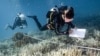 EU monitor: Rate of ocean warming has nearly doubled since 2005  