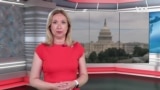 Iz Amerike 206 | Intervju: Kristofer Hil; Rusija i Kina protiv demokratije; Most za divlje životinje