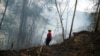 Billions of Workers Exposed to Health Hazards Due to Climate Change