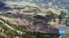 ባለፉት ስድስት ወራት ቁጥራቸው የበዛ የዐማራ ተወላጆች እንደተገደሉ የፍጅት መከላከል ድርጅቱ ገለጸ