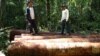 Amazon rainforest can be hostile environment for journalists