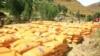 tigray region fertilizers