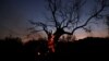 New Wildfire Ravages Northeastern Greece 