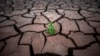 Spain Records Hottest, Driest April on Record 