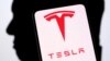 PM Malaysia Bahas Investasi Tesla, Starlink dengan Elon Musk 