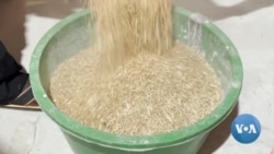 Halt of Black Sea Grain Deal Upends Nigeria's Struggle for Wheat Self-Sufficiency 