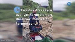 Türkiye’de maliyetler tarımın sonunu mu getiriyor?
