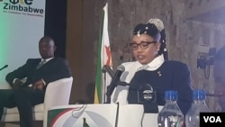Priscillar Chigumba- sachigaro weZEC