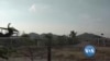 စစ်မှုထမ်း ဥပဒေ တိမ်းရှောင်သူများ