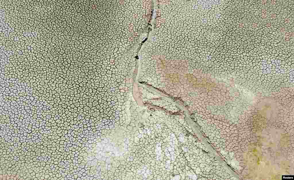 A drone picture shows an animal drinking water at Fanaco Lake following a drought on the Italian island of Sicily, in Palermo, Italy, Aug. 26, 2024.