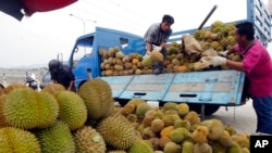 ແຟ້ມພາບ - ໝາກຖົ່ວລຽນ ກຳລັງຖືກຂົນຂຶ້ນບົດບັນທຸກ ຢູ່ທີ່ຕະຫຼາດ ໃນເມືອງກາຈັງ ຢູ່ຊານເມືອງຂອງນະຄອນຫຼວງ ກົວລາລຳເປີ, ມາເລເຊຍ, ວັນທີ 13 ເມສາ 2011. 