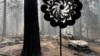 Thousands battle Western US wildfires as smoke puts millions under air quality alerts