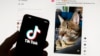 US Vice President: Banning TikTok 'Not at All the Goal' 