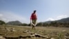 El Nino Climate Pattern Now Underway, NOAA Reports