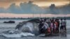 Ratusan Mamalia Laut Terdampar di Timur Indonesia, Pemerintah Didorong Libatkan Semua Pihak dalam Jejaring Penanganan