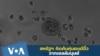 16x9 Image