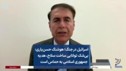 اسرائیل در جنگ؛ هوشنگ حسن‌یاری بی‌شک توانایی ساخت سلاح، هدیه جمهوری اسلامی به حماس است
