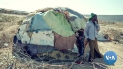 የሶማሌ ክልል የጎሣ መሪዎች የአማካሪ ምክር ቤት ተቋቋመ
