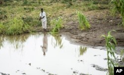 FILE - A men stands on his washed-away maize field in Chiradzulu, southern Malawi, March 17, 2023.