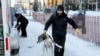 Heat Takes Toll as Iditarod Mushers Trek Across Alaska 