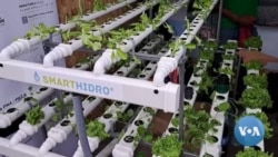 Cabo Verde: Feira agropecuária traz soluções tecnológicas para desafios da ilha