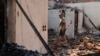 Greece Cracks Down on Attacks on Migrants as Wildfires Rage 